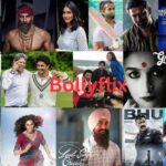 Bollyflix