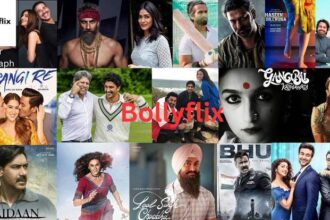 Bollyflix